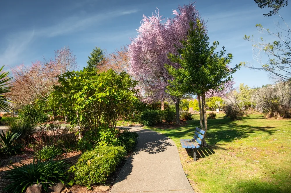 Azalea Park in spring in Brookings Oregon